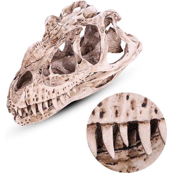 GOTOTOP Dinosaur Skull Model, Dinosaur Skull Model Simulated Animal Skeleton Lifelike Teaching Skeleton Model for Home Office Aquarium Bar Party