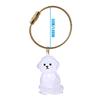 Clear Pet Hair Preservations Keychain Memorial Display Case With Securedly Seal Pet Loss Keyring Design