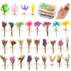 30 Pcs Mini Don'T Forget Me Flower Bouquets Purple Natural Dried Flowers Bouquet Dry Flower&Leaves Lavender Dried Embossing Flow
