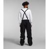 The North Face Sidecut GTX Pants Overalls Men's Black NF0A82VA-JK3