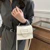 Trendy Simple Versatile Handbag Small Square Bag For Women 2024 Summer Fashion Shoulder Crossbody Bag