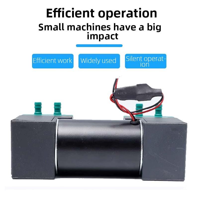Micro Diaphragm Air Pump 12V/24V/220V Silent Vacuum Pump for Beauty Instrument, Medical Equipment & Laboratory Use