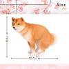 Alles Vertrauen Shiba Inu Shiba Inu Lustig Innen Hund Figur Merchandise, Figur, Kacka, Artikel, Dekor, (Rot, Kacka)