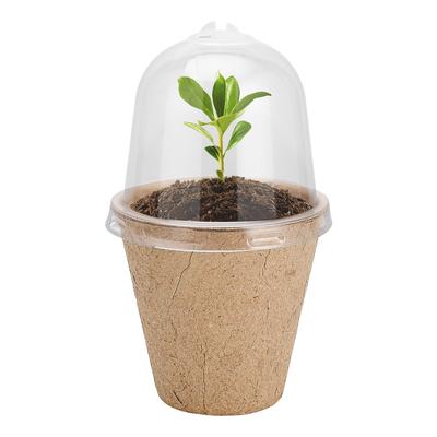 Seedling Cup Biodegradable Planter Pots With Humidity Dome Plant Nursery Pots