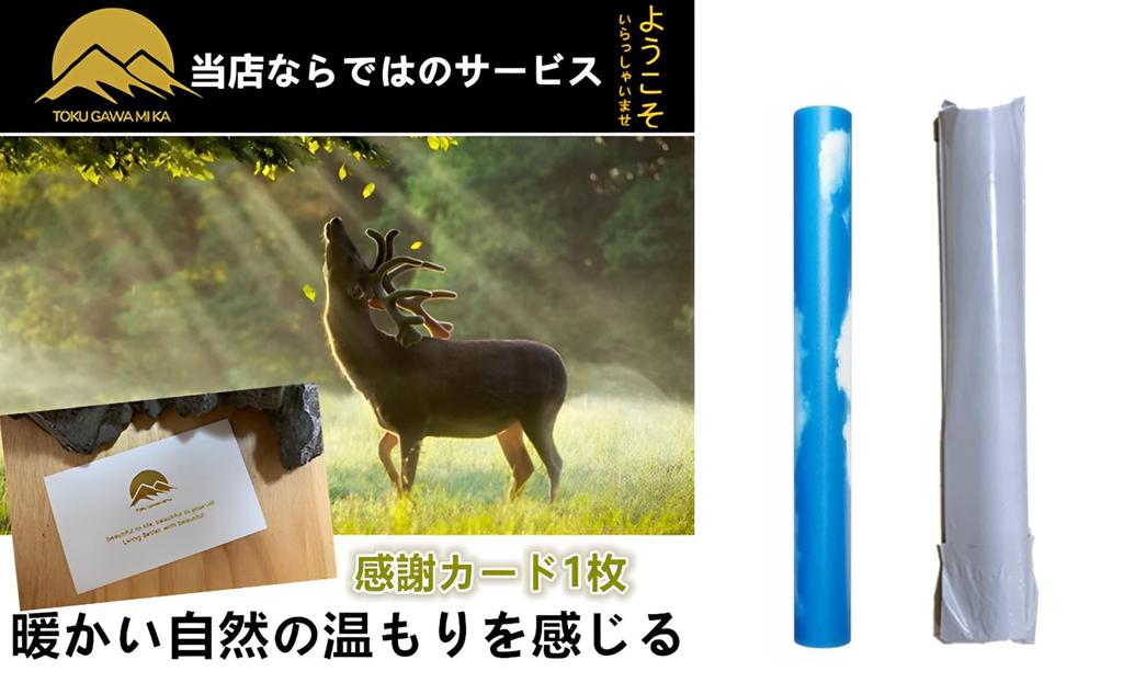 Xering TOKUGAWAMIKA Seal Kitchen Reupholstery Wallpaper Sky and White 60cmx5m Stylish Cloth DIY Renovation Removable Washroom Repair Accent Toilet