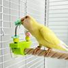Durability Wooden Parrots Gym Interactively For Climbing Jumping And Playing Helps Prevent Boredom In Pet Birds