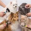 Non-slip Grip Dematting Comb Smooth Teeth Pet Grooming Comb Tangle Remover  Home Pet Care
