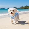 Round Neck Dog Cooling Vest Soft Fabric Pet Striped T-Shirt Dog Summer Clothes  Photography