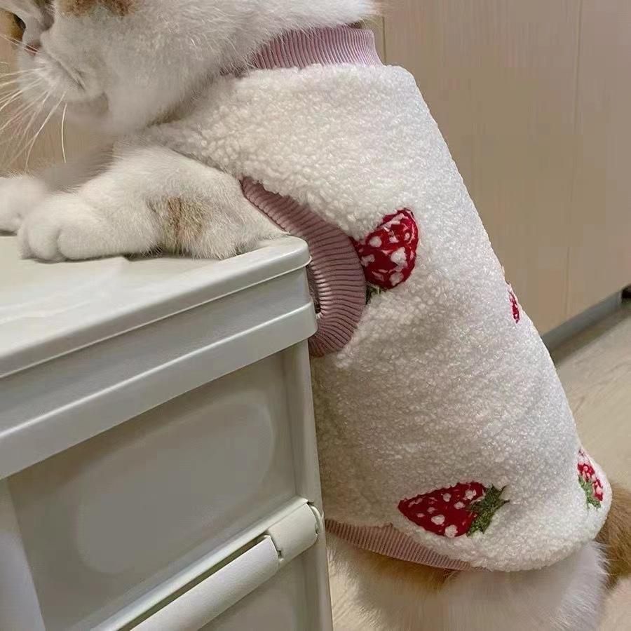 

Милый маленький жилет из овечьей шерсти клубники, теплая одежда для кошек и собак, жилет для медведя XL