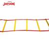 Speed Agility Training Ladder