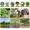 6 Pk Tree Trunk Protector Enhanced Tree Trunk Protection Guards With Metal Stakes Easy-Installation Iron Tree Trunk Protector