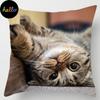 18-calowa poszewka na poduszkę z kolekcji kotów Wystrój domu i biura Kwadratowa poszewka na poduszkę
