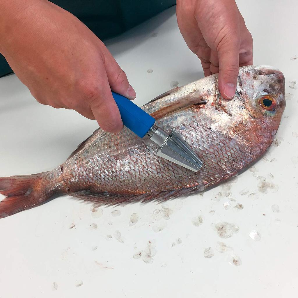 Asahi Sangyo Scale Remover Silver Width 20cm X Height 11cm X Depth 15cm AST-150