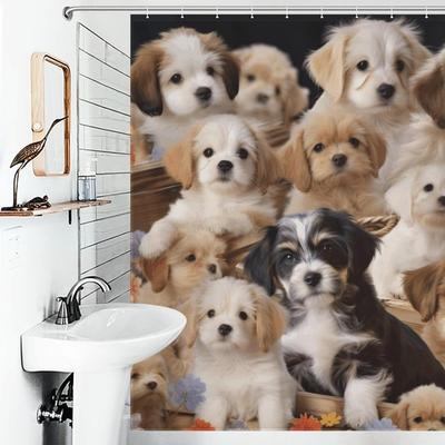 Banyo ve tuvalet – Duş Perdeleri