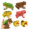 Realistic Texture Simulation Frog Toy Lifelike Appearance Toad Figurine  Animal Collections