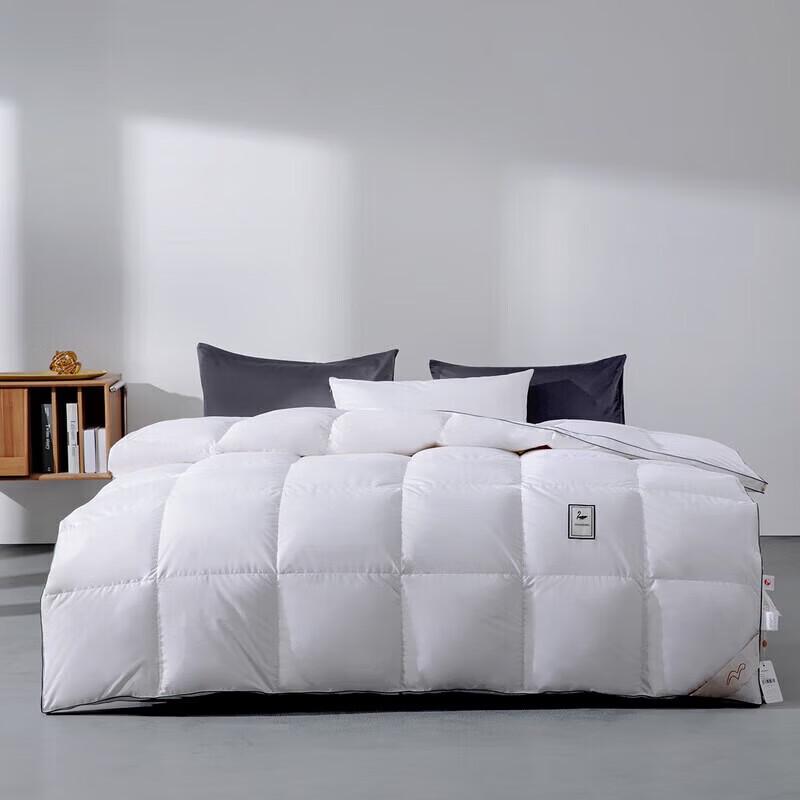 Mercury Home Textiles Xuemier Antibacterial Duck Down Winter Quilt