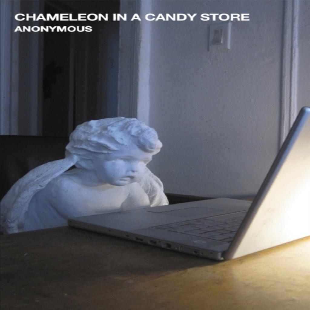 Chameleon in a Candy Store by Anonymous Anonymous Paperback Book 9781472153104