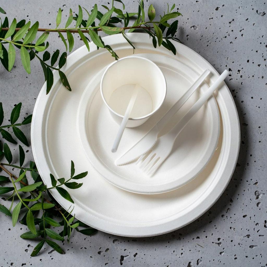 Disposable Plate Made Of Sugarcane Free Of Charge Sup - Grill