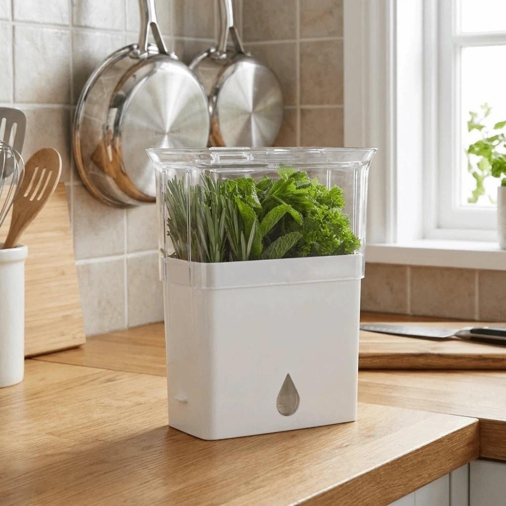 Airtight Vegetable Keeper Plastic Herb Lettuce Keeper Multipurpose Herb Preserver Thyme