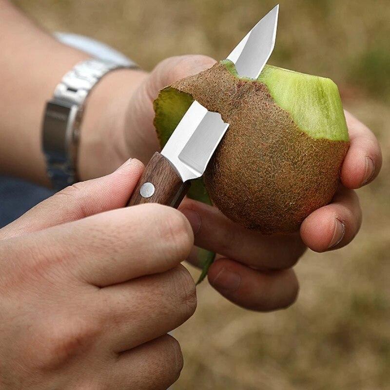 Nerezový nůž na ovoce s pouzdrem Kuchyňský nůž na zeleninu Dřevěná rukojeť Loupací nůž Venkovní přenosný kemping