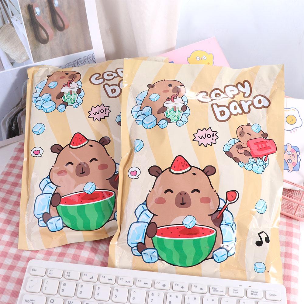 Metric Ruler Cartoon Eraser Stationery Multifunctional Capybara Gift Pack  Measuring Tool