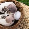 Home House Decoration Nature Bird Nest Birds Egg Realistic Feathered Artificial Craft Birds