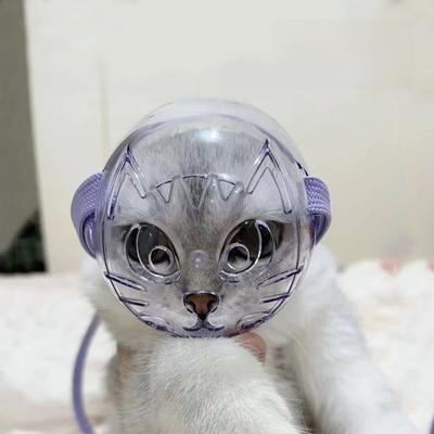 Kedi – Kedi bakım ürünleri