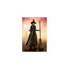 TAMASHII NATIONS S.H. Figuarts Elphaba Wicked 135mm Painted Action Figure PVC ABS