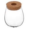 Elegante Hydroponische Glazen Vaas Transparante Kleine Bureau Kweekpot voor Planten Water Kweekstation