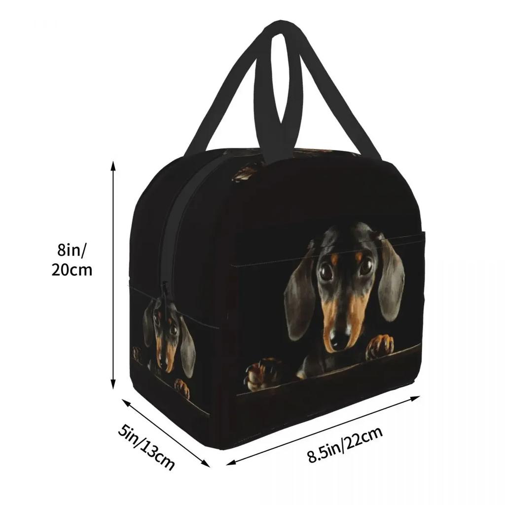 Dachshund Insulated Lunch Tote Bag Portable Thermal Cooler Food Bento Box for Work School Travel Sausage Wiener Dog Lunch Bags