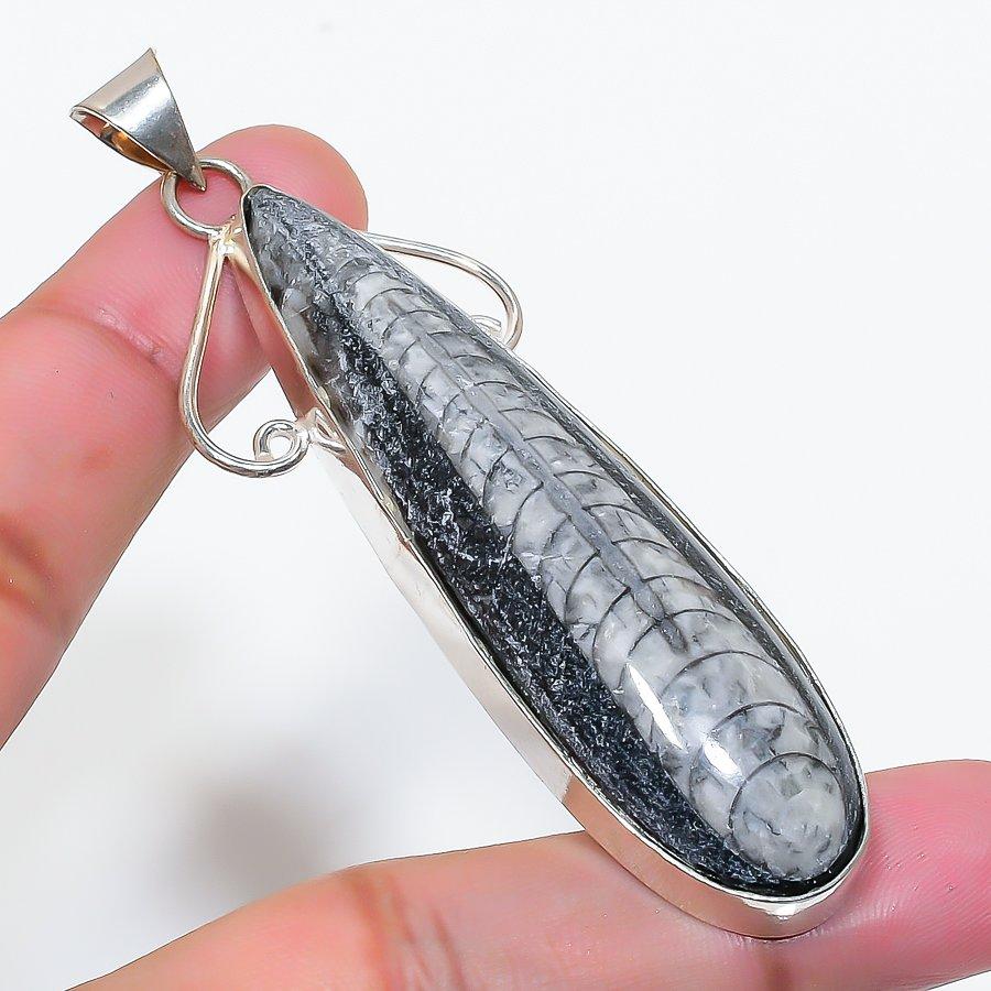 Natural Orthoceras Fossil Gemstone 925 Sterling Silver Pendant 3.15 AP-15639