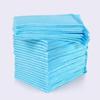Adult Leak-Proof Diaper Pads for Elderly - Customizable Urine Isolation Stickers