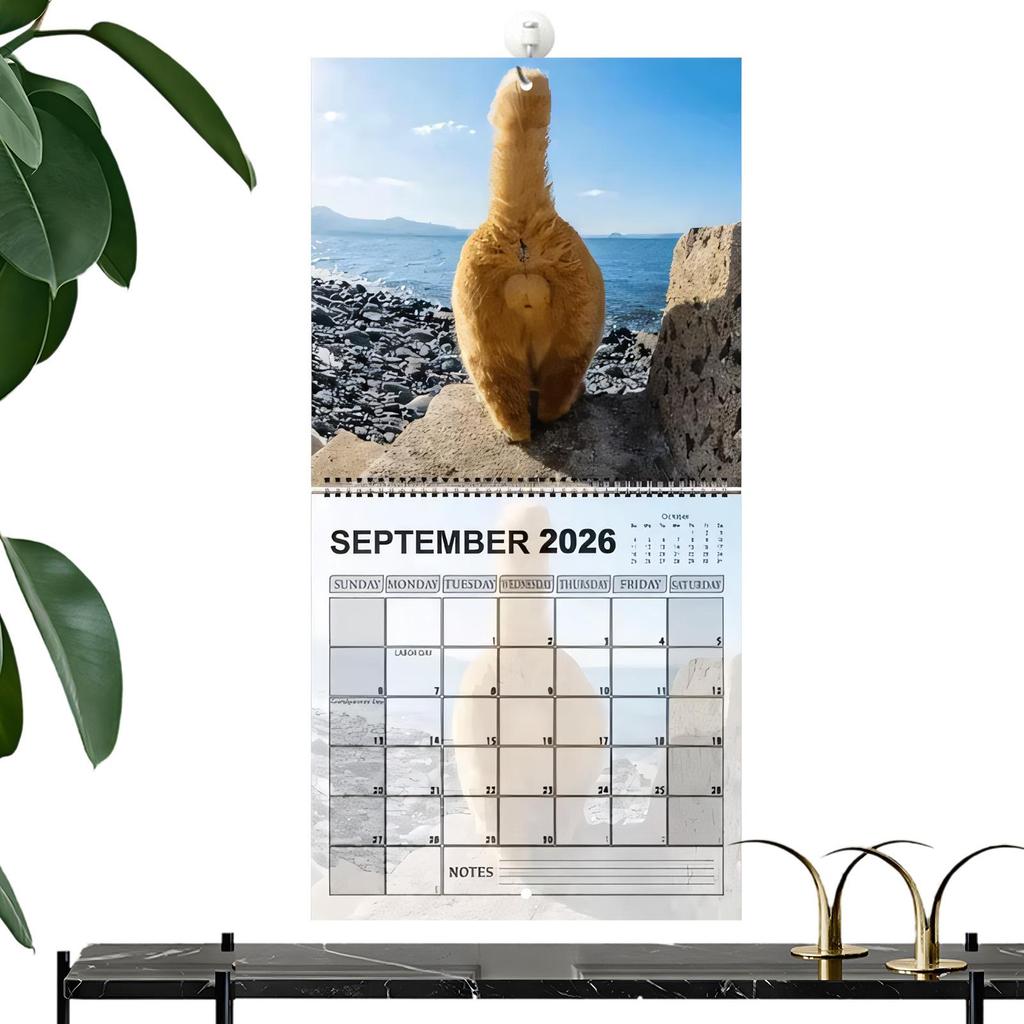 Cat Buttholes Calendar 2026 - 12 Monthly Wall Calendar Hilarious Gag Present for Cat Lovers Friends Home Wall Office Desk