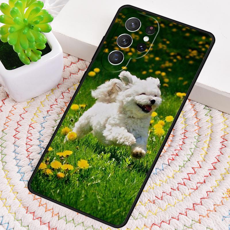Maltese Dog Puppies Silicone Phone Case For Samsung Galaxy note 10 pro S26 S25 S24 S23 S22 S21 Plus S25Ultra Capa Cover