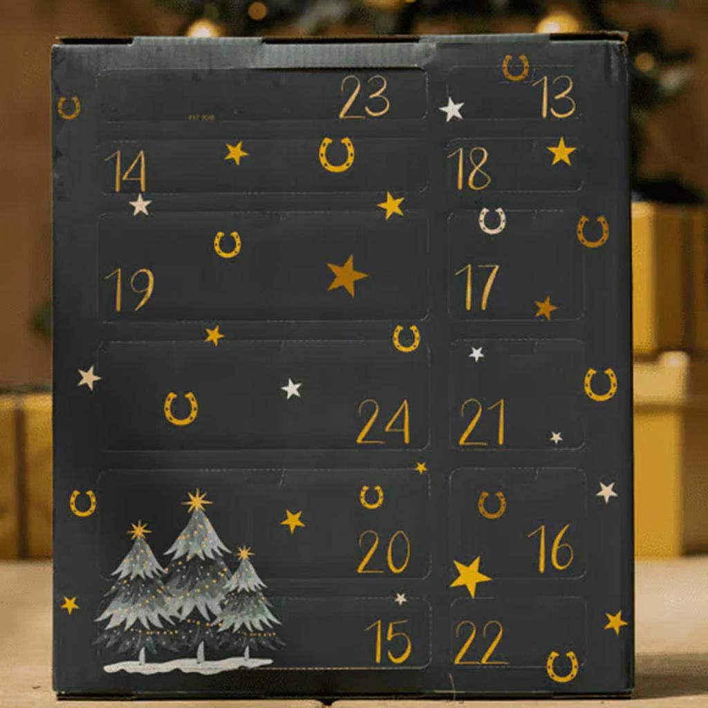 Advent Calendar, Christmas Countdown, 24 Days Of Surprise Blind Boxes