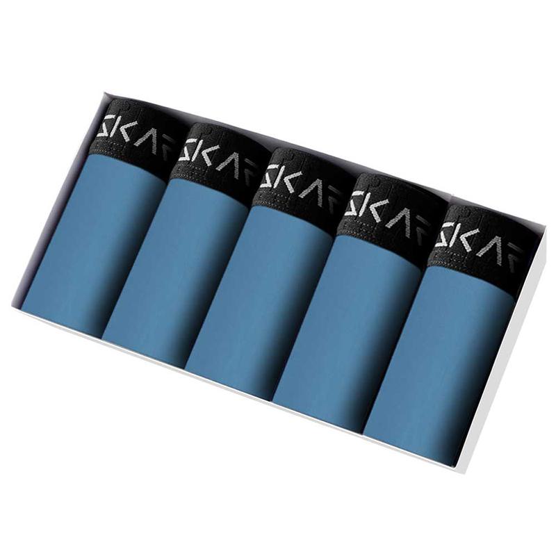 5PCs Pack 2025 Men Panties New Print Underwear Man Brand Boxer And Underpants For Homme Luxury Set Sex Polyester Shorts Slip