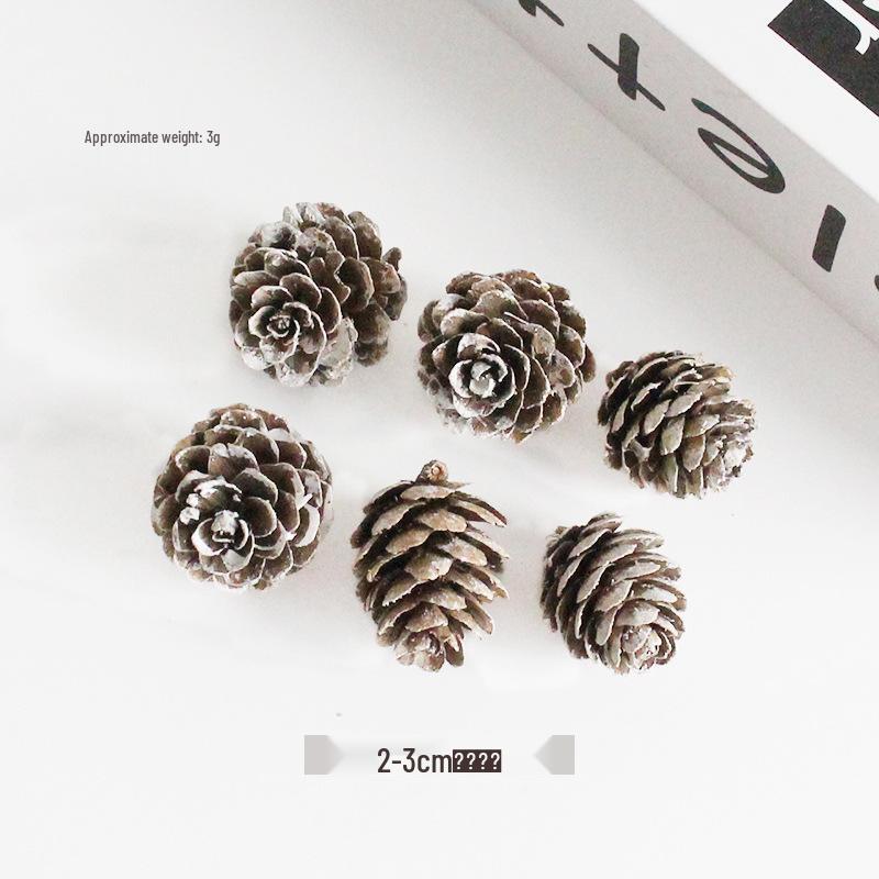 2023 Pine Cone & Dried Flowers for Christmas DIY: Ponderosa, Loblolly, Spruce