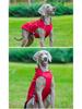 Clearance Windproof & Waterproof Large Dog Sporty Jacket - Warm, Cold-Proof Pet Clothing