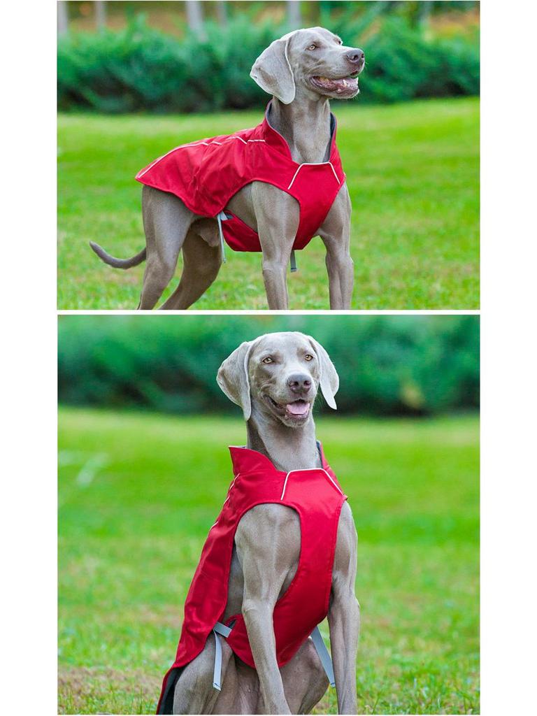 Clearance Windproof & Waterproof Large Dog Sporty Jacket - Warm, Cold-Proof Pet Clothing