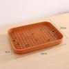 Double-Layer Plastic Tea and Fruit Draining Tray with Water Filter