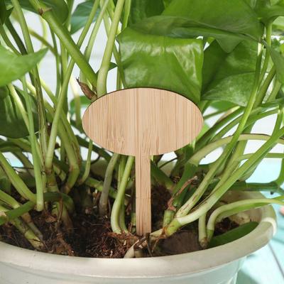 10PCS Eco-Friendly Bonsai Ornament Nursery Pots Wood Sign Tags Bamboo Plant Labels Garden Markers Planting Tools