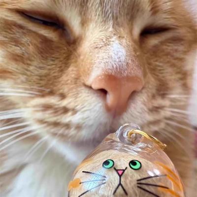 Cat Keychain DIY Pendant Backpack Ginger Siamese Calico CatHair Storage Box Hanging Cat Bag Hanging Pet Hair Grooming Souvenirs