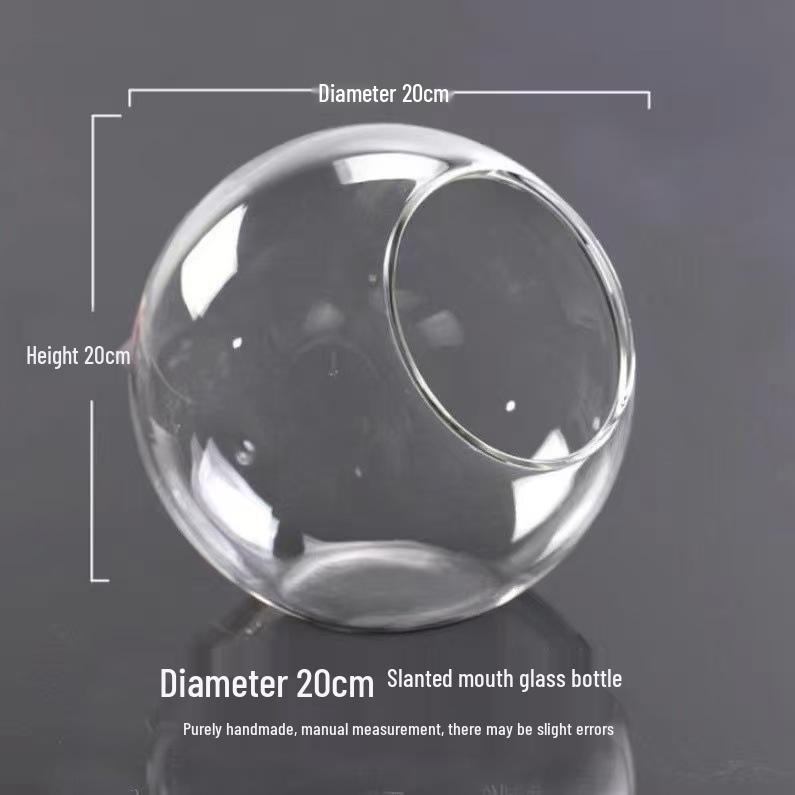 Transparent Slanted Glass Vase for Succulents and Hydroponic Flowers