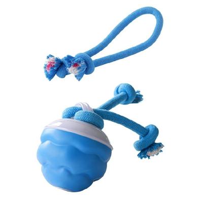Wiederaufladbarer USB-Hundespielzeug Kauspielzeug Seilball Spielzeug Interaktion Bewegungsaktivierter Rollball für Verschiedene Rassen Fesselnd