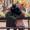 0106 Floral Black Dog  pattern, automatic folding umbrella, portable and foldable design, 8 ribs, a Christmas or birthday gift.