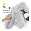 Bloom Smooth Whip Body Towel Set of 2 Soft Foaming Sensitive Skin 100% Corn Fiber Weakly Acidic Body Towel (Gray)