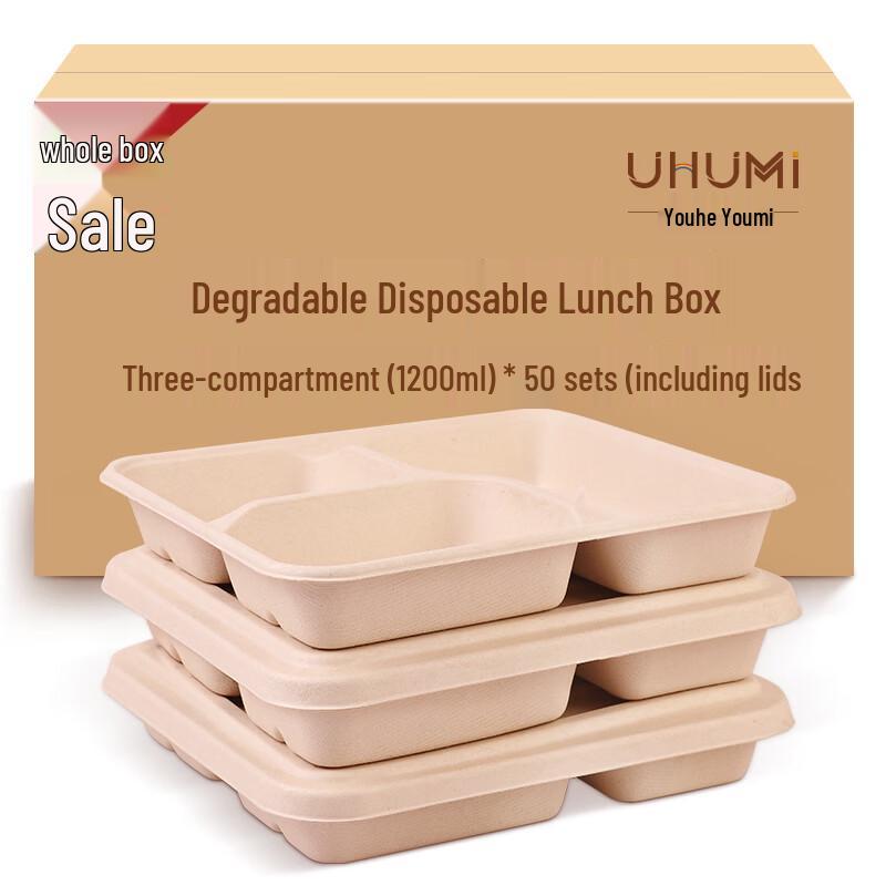 Sugarcane Pulp Disposable 3-Compartment Lunch Box