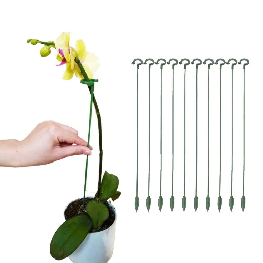 10pcs Butterflies Orchid Plants Support Racks Durable Vine Climbing Stand  Gardening Tools