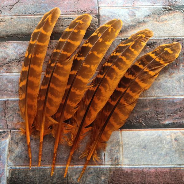 10 Pcs Beautiful High Quality 10-15cm/4-6inches Natural Pheasant Feathers 11 Colors Optional DIY Decorative