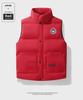 Men's & Couple's Cotton Padded Vest: Thick Stand-Up Collar Casual Waistcoat for Autumn/Winter 